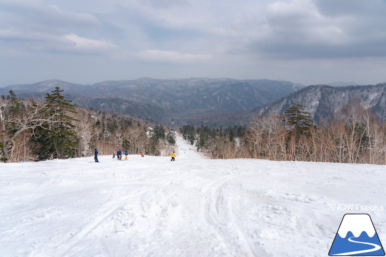 札幌国際スキー場｜2023・ゴールデンウィークがスタート！心配された雪ですが…。大丈夫、ちゃんと残ってくれました(^_-)-☆